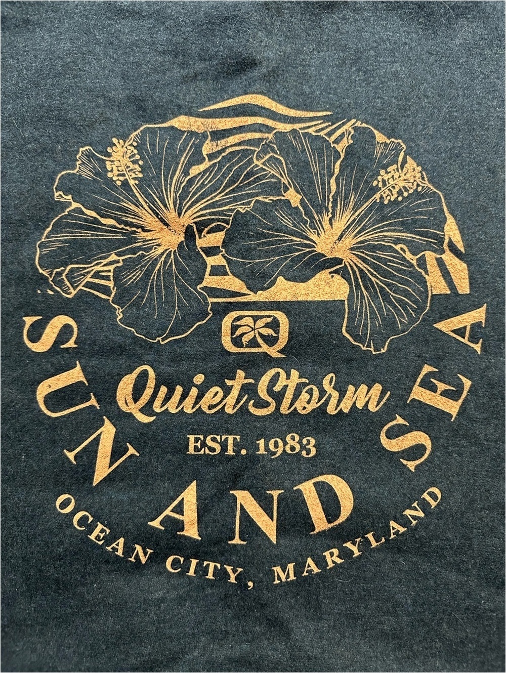 Quiet Storm Sun and Sea Graphic Sweatshirt - Cozy Vintage Vibes
